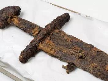 A sword was uncovered in the same place as the shield. (Photo: Åge Hojem / NTNU University Museum)