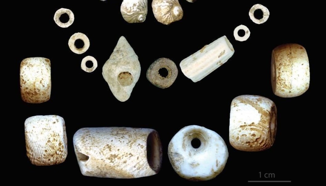 NOT ON MY LAND: Unlike South Europeans, the people of North Europe stuck to their old ways of life for several hundred years longer after the arrival of agriculture in Europe about 8,000 years ago. This is reflected in the refusal to let go of traditional clothing and ornament practices. The material in this picture belongs to Le Tai, Toulouse University and Essenbach-Ammerbreite, Archäologische Staatssammlung München. (Photo: Solange Rigaud) NOT ON MY LAND: Unlike South Europeans, the people of North Europe stuck to their old ways of life for several hundred years longer after the arrival of agriculture in Europe about 8,000 years ago. This is reflected in the refusal to let go of traditional clothing and ornament practices. The material in this picture belongs to Le Tai, Toulouse University and Essenbach-Ammerbreite, Archäologische Staatssammlung München. (Photo: Solange Rigaud)