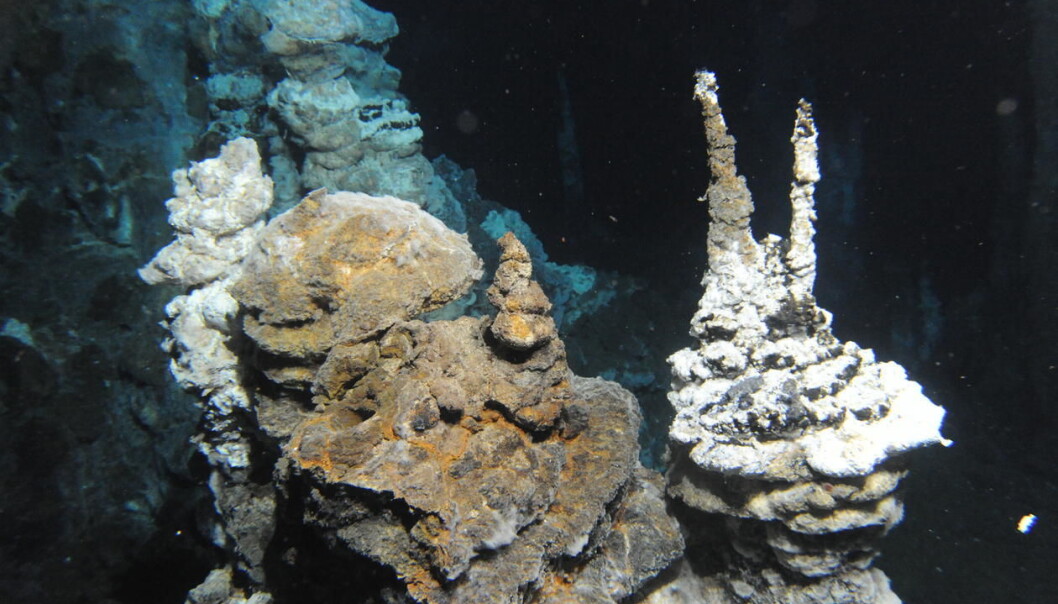 Animals found around underworld volcanoes have evolved to live in extreme conditions. These properties may be put to industrial use, researchers say. (Photo: Centre for Geobiology) Animals found around underworld volcanoes have evolved to live in extreme conditions. These properties may be put to industrial use, researchers say. (Photo: Centre for Geobiology)
