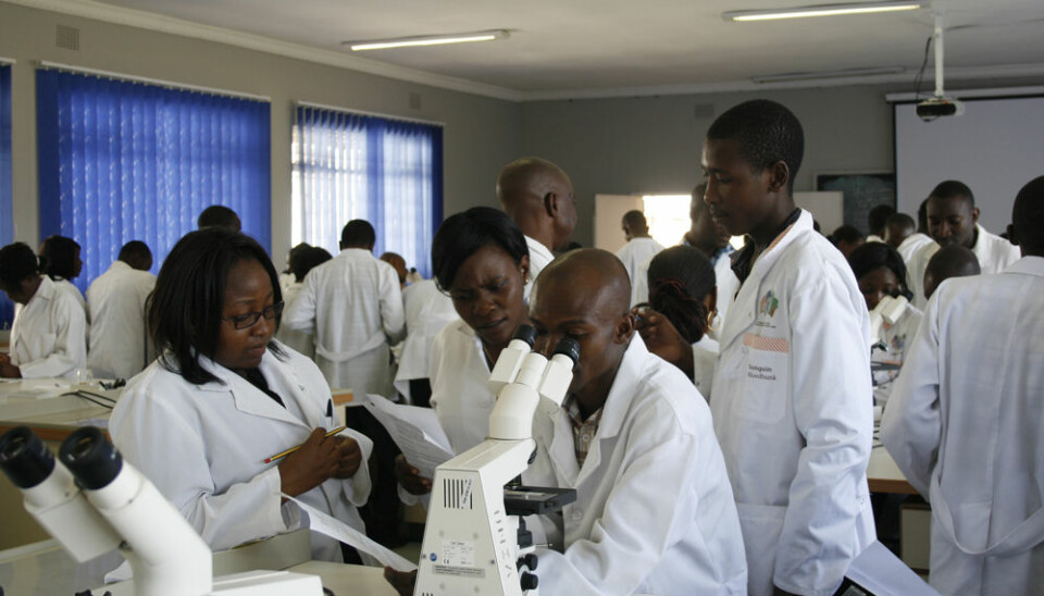 Students doing microscopy at the lab at UNZA (Photo: Susan Johnsen)