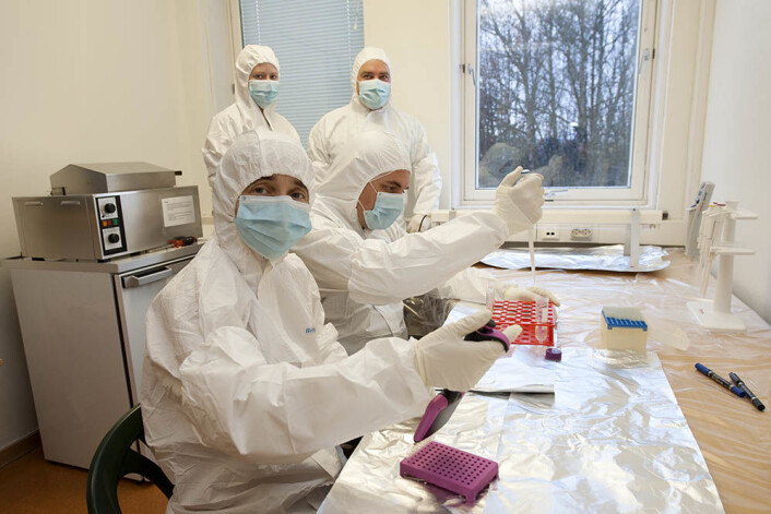 DNA-analyser av innsjøsedimenter. Fremst i bildet med munnbind: professor Inger Greve Alsos. (Foto: Mari Karlstad, Tromsø Museum – Universitetsmuseet) DNA-analyser av innsjøsedimenter. Fremst i bildet med munnbind: professor Inger Greve Alsos. (Foto: Mari Karlstad, Tromsø Museum – Universitetsmuseet)