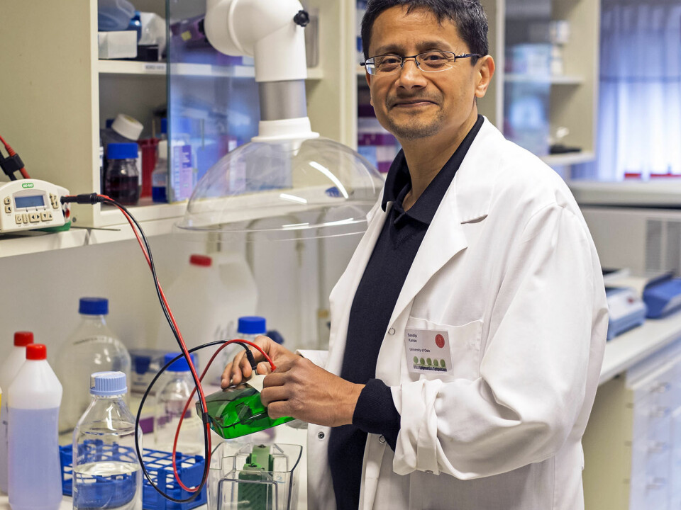 Learning more about the FSAP gene will be a long and difficult task, according to professor Sandip Kanse. (Photo: Grunnar F. Lothe)