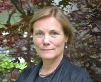 Birgit Lie behandler flyktninger med traumer etter krig og terror ved Sørlandet sykehus. Hun mener at helsevesenet alene ikke klarer å hjelpe alle flyktningene med sine psykiske problemer. Vanlige folk må også hjelpe til. (Foto: Sørlandet sykehus) Birgit Lie behandler flyktninger med traumer etter krig og terror ved Sørlandet sykehus. Hun mener at helsevesenet alene ikke klarer å hjelpe alle flyktningene med sine psykiske problemer. Vanlige folk må også hjelpe til. (Foto: Sørlandet sykehus)
