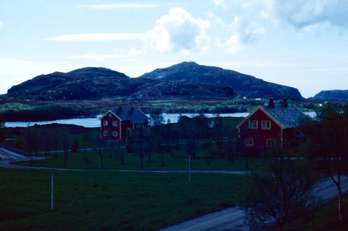 Fureneset på slutten av 1960-tallet. Familien Pestalozzi bodde i huset til høyre på bildet. (Foto: Markus Pestalozzi) Fureneset på slutten av 1960-tallet. Familien Pestalozzi bodde i huset til høyre på bildet. (Foto: Markus Pestalozzi)