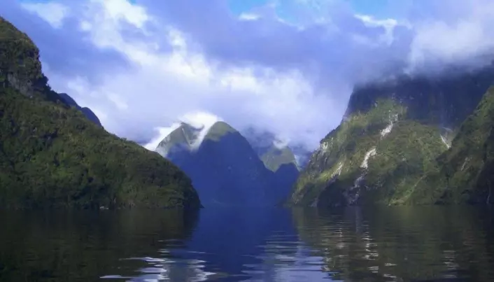Fjords catch loads of carbon