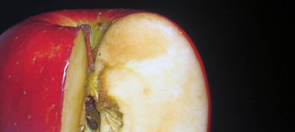 Forskere i Wien er i ferd med å løse gåten som gjør at epler blir brune og mindre fristende når de kuttes opp.  (Foto: Colourbox)