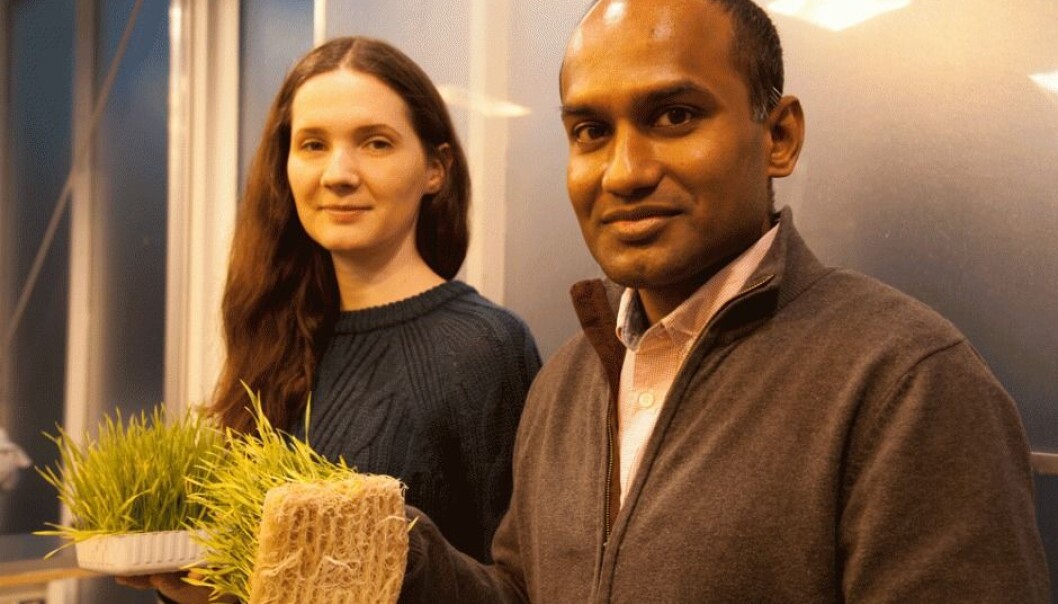 Technician Liubov Vasenko and PhD candidate Lelum Manamperuma. (Photo: Mette Risbråthe) Technician Liubov Vasenko and PhD candidate Lelum Manamperuma. (Photo: Mette Risbråthe)