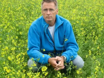 Atle Bones - here in a field of canola plants - wants to convert cannabis to food. (Photo: Trine Magnus)