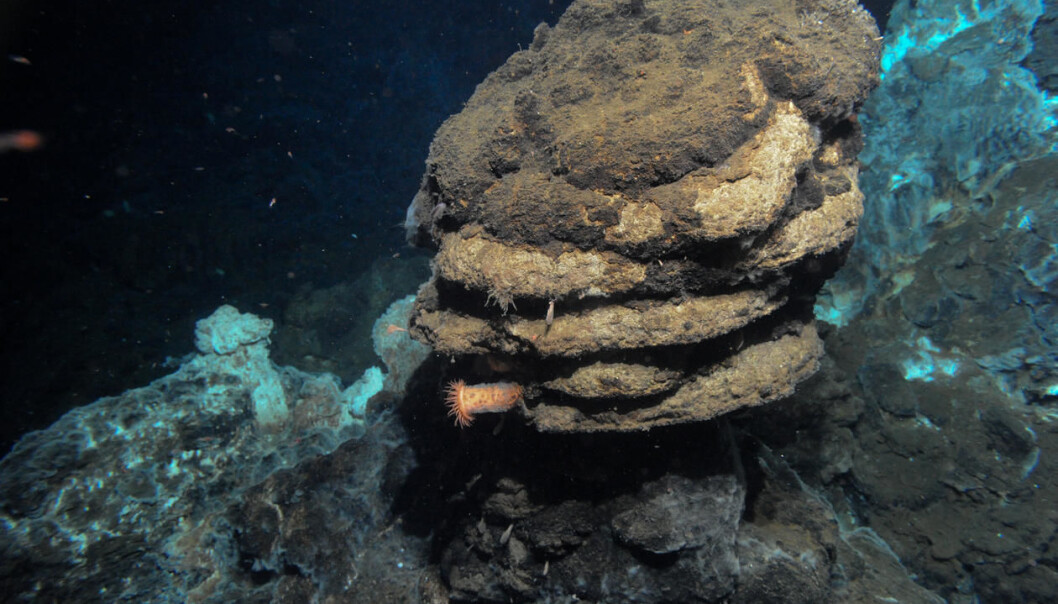 In July 2008, University of Bergen researcher Steffen Leth Jørgensen was part of a mission with the research ship G. O. Sars. This is when he discovered a new microbe that represents a missing link in the evolution of complex life on Earth. (Photo: Centre for Geobiology, University of Bergen) In July 2008, University of Bergen researcher Steffen Leth Jørgensen was part of a mission with the research ship G. O. Sars. This is when he discovered a new microbe that represents a missing link in the evolution of complex life on Earth. (Photo: Centre for Geobiology, University of Bergen)