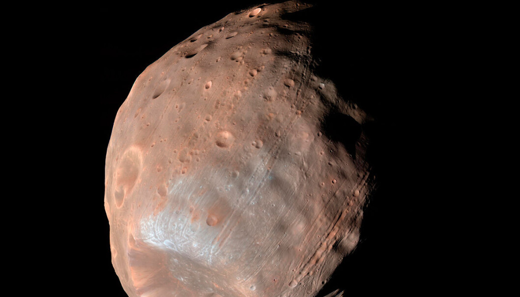 Marsmånen Phobos har strekkmerker fordi tyngdekreftene fra moderplaneten river og sliter i den lille kloden. Lenge trodde forskerne at stripene kom fra det voldsomme sammenstøtet som dannet kjempekrateret Stickney, som sees nederst i bildet. Stripene stråler imidlertid ikke ut fra dette krateret. Noen av stripene er yngre enn andre. Dette tyder på at prosessen fortsatt pågår. Bildet er tatt med den amerikanske marssonden Mars Reconnaissance Orbiter. (Foto: NASA/JPL-Caltech/University of Arizona) Marsmånen Phobos har strekkmerker fordi tyngdekreftene fra moderplaneten river og sliter i den lille kloden. Lenge trodde forskerne at stripene kom fra det voldsomme sammenstøtet som dannet kjempekrateret Stickney, som sees nederst i bildet. Stripene stråler imidlertid ikke ut fra dette krateret. Noen av stripene er yngre enn andre. Dette tyder på at prosessen fortsatt pågår. Bildet er tatt med den amerikanske marssonden Mars Reconnaissance Orbiter. (Foto: NASA/JPL-Caltech/University of Arizona)