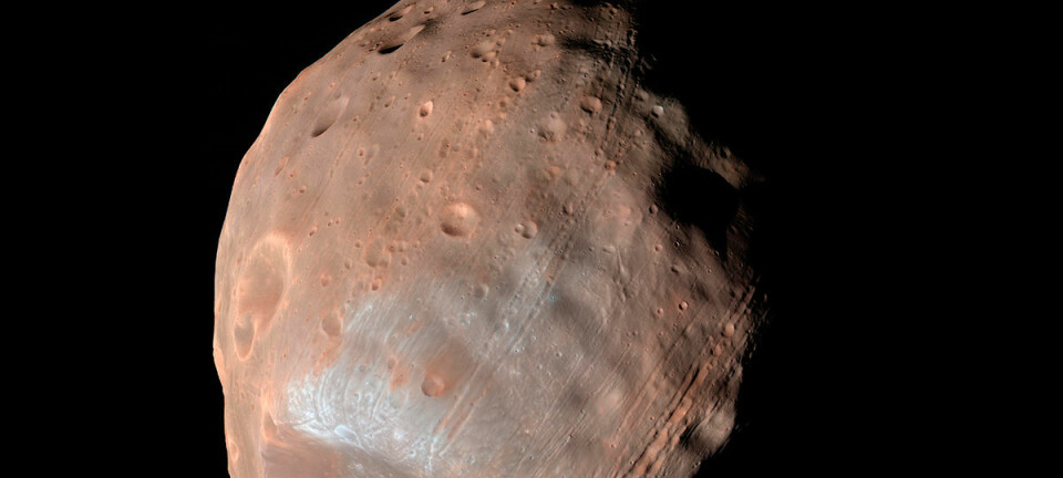 Marsmånen Phobos har strekkmerker fordi tyngdekreftene fra moderplaneten river og sliter i den lille kloden. Lenge trodde forskerne at stripene kom fra det voldsomme sammenstøtet som dannet kjempekrateret Stickney, som sees nederst i bildet. Stripene stråler imidlertid ikke ut fra dette krateret. Noen av stripene er yngre enn andre. Dette tyder på at prosessen fortsatt pågår. Bildet er tatt med den amerikanske marssonden Mars Reconnaissance Orbiter. (Foto: NASA/JPL-Caltech/University of Arizona)