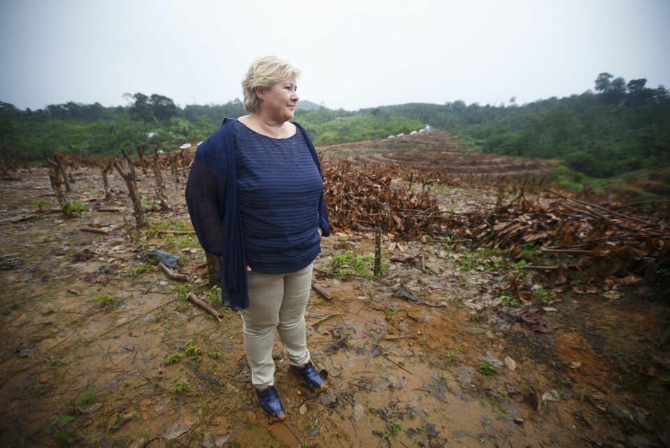 Statsminister Erna Solberg (H) i et område hvor regnskogen er hogget ned på øya Sumatra i Indonesia i april i år. (Foto: Heiko Junge, NTB scanpix)