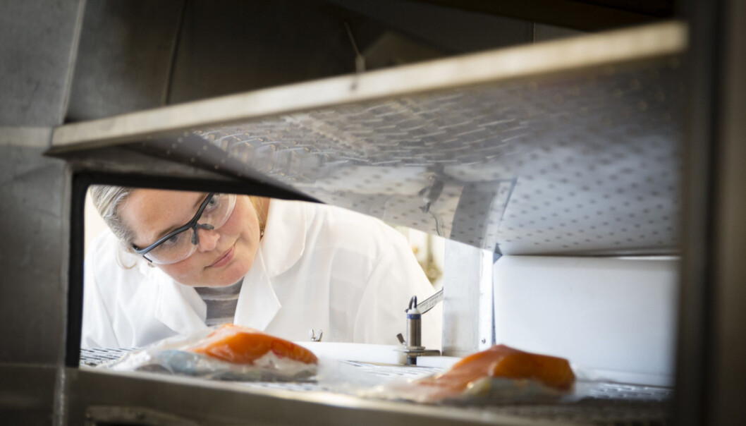 Food retains its freshness longer if it is kept in a state somewhere between fresh and frozen. This method ought to be more widely used because it helps to improve the utilisation of raw materials and to reduce waste, believe scientist Ingrid Claussen at Sintef. (Photo: Thor Nielsen) Food retains its freshness longer if it is kept in a state somewhere between fresh and frozen. This method ought to be more widely used because it helps to improve the utilisation of raw materials and to reduce waste, believe scientist Ingrid Claussen at Sintef. (Photo: Thor Nielsen)