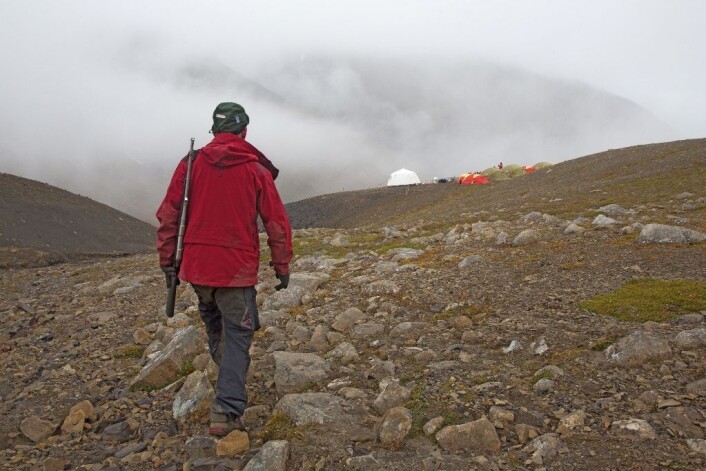 For å beskytte seg mot isbjørnangrep, har Stig Larsen med seg dorifle når han må på det provisoriske toalettet hundre meter unna leiren. (Foto: Yngve Vogt) For å beskytte seg mot isbjørnangrep, har Stig Larsen med seg dorifle når han må på det provisoriske toalettet hundre meter unna leiren. (Foto: Yngve Vogt)