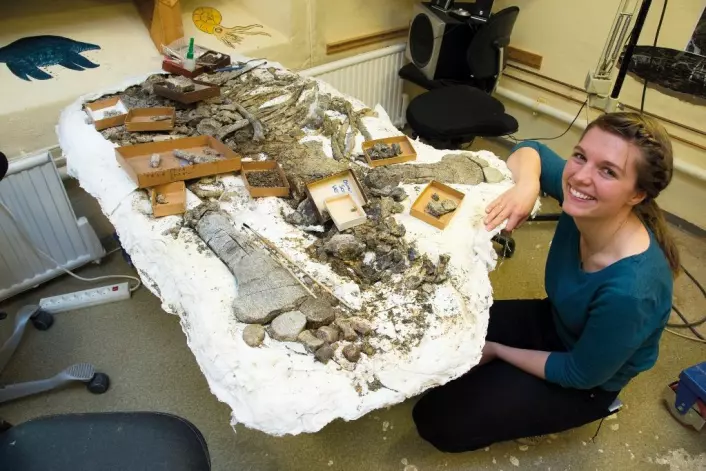Når fossiljegerne finner et helt skjelett, kan Lene Liebe Delsett (nederst til venstre) si mer om hvordan individet døde og hva som var det siste måltidet. Når de finner&#13;
flere individer av samme art, kan hun skille unge og gamle individer fra hverandre.  (Foto: Yngve Vogt)
