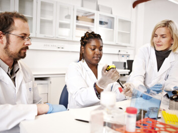 Jørgen Stenvik, Jane A Awuh and Trude Helen Flo, co-director of CEMIR, the Centre of Molecular Inflammation Research. Awuh is the first author of the PNAS article. (Photo: Geir Mogen, NTNU) Jørgen Stenvik, Jane A Awuh and Trude Helen Flo, co-director of CEMIR, the Centre of Molecular Inflammation Research. Awuh is the first author of the PNAS article. (Photo: Geir Mogen, NTNU)