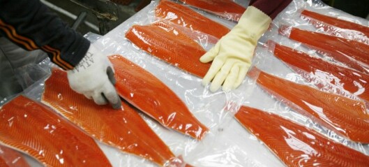 Chinese boycott of Norwegian salmon industry unsuccessful