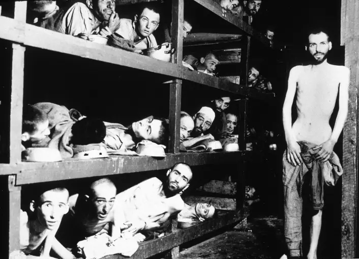 Dette bildet er tatt i Buchenwald 16. april 1945, et par dager etter at amerikanske styrker hadde frigitt konsentrasjonsleiren. Mennene på bildet er slavearbeidere som levde under mye verre forhold enn de norske studentene. (Foto: Album, Rue des Archives, FIA)