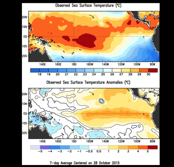 Temperaturen i havoverflaten (øverst), og avviket fra normalen (nederst). (Bilde: NOAA) Temperaturen i havoverflaten (øverst), og avviket fra normalen (nederst). (Bilde: NOAA)