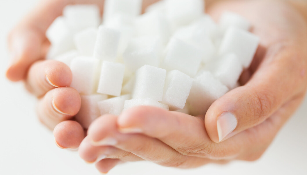 Vanlig sukker består av en kombinasjon av like mengder fruktose og glukose. Disse to stoffene blir forbrent på helt forskjellig måte. Det meste av glukosen forbrennes i musklene og i alle kroppens celler, mens fruktosen går til leveren. Her lagres overskuddet som fett. Dette kan kobles til flere negative effekter på helsa. (Foto: Microstock) Vanlig sukker består av en kombinasjon av like mengder fruktose og glukose. Disse to stoffene blir forbrent på helt forskjellig måte. Det meste av glukosen forbrennes i musklene og i alle kroppens celler, mens fruktosen går til leveren. Her lagres overskuddet som fett. Dette kan kobles til flere negative effekter på helsa. (Foto: Microstock)