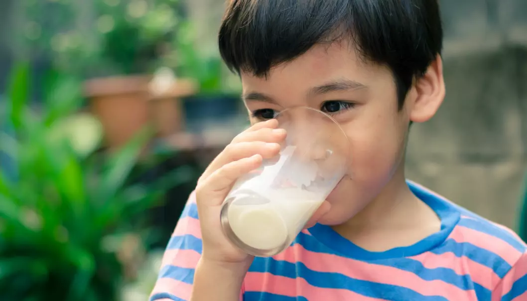 Forskerne aner ikke om melk er usunt