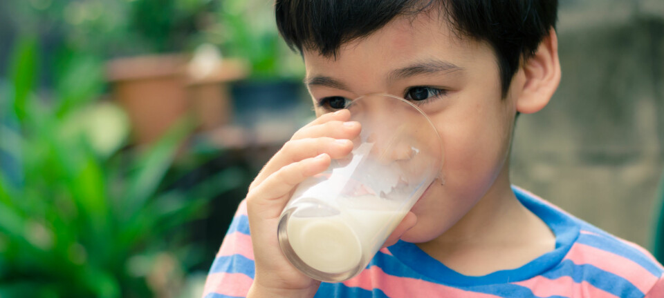 Det er fortsatt ikke enighet om hvorvidt melk øker risikoen for kreft, hjerte- og karsykdommer eller tidlig død. Forskerne mener det er behov for mer omfattende og mer standardiserte studier. (Illustrasjonsfoto: Microstock)