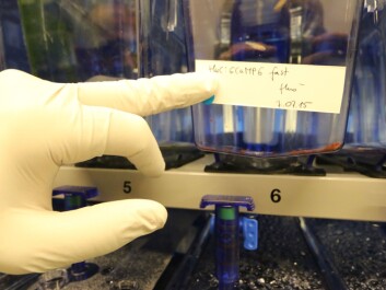 Each fish tank contains detailed information about the parentage of the genetically modified fish inside. (Photo: Nancy Bazilchuk, NTNU) Each fish tank contains detailed information about the parentage of the genetically modified fish inside. (Photo: Nancy Bazilchuk, NTNU)