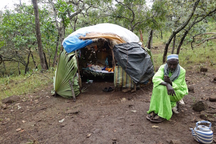 «Baba saare» (fulani, direkte oversatt: far i husholet) foran stråhytta si. (Foto: Trond Waage) «Baba saare» (fulani, direkte oversatt: far i husholet) foran stråhytta si. (Foto: Trond Waage)