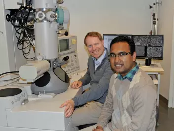 Tor Paaske Utheim and Rakibul Islam (from the left.) at the Institute for Oral Biology. They research how to cure certain kinds of blindness in a global context. (Photo: Per Gran, OD/UiO)