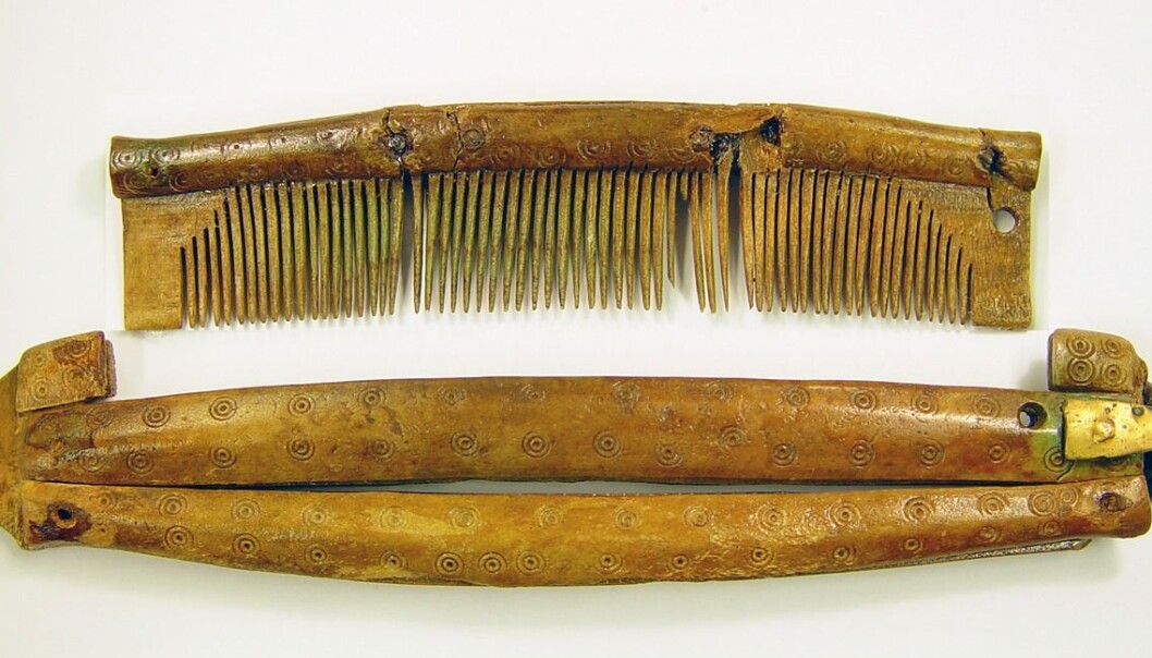 Arkeologer har funnet kammer alle steder hvor det levde vikinger. Denne kammen er funnet på vestkysten av Gotland, og har et etui som det kan lagres i. Både kam og etui er usedvanlig godt bevart. (Foto: Dan Carlsson) Arkeologer har funnet kammer alle steder hvor det levde vikinger. Denne kammen er funnet på vestkysten av Gotland, og har et etui som det kan lagres i. Både kam og etui er usedvanlig godt bevart. (Foto: Dan Carlsson)