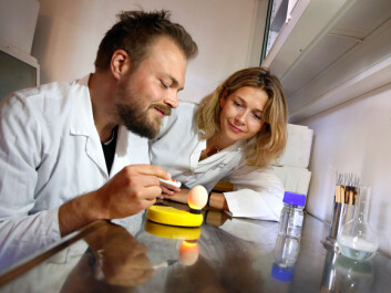 Hedvig Nordeng and Lars Engeset Austdal who tries to find out how drugs, for example paracetamol, affects chicken embryos in order to try to understand which underlying biological mechanisms may be involved in observed disorders among children. Austdal is one of the young research talents in PharmaTox. (Photo: Terje Heiestad, Millimeterpress) Hedvig Nordeng and Lars Engeset Austdal who tries to find out how drugs, for example paracetamol, affects chicken embryos in order to try to understand which underlying biological mechanisms may be involved in observed disorders among children. Austdal is one of the young research talents in PharmaTox. (Photo: Terje Heiestad, Millimeterpress)
