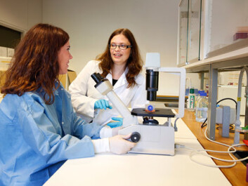 Ragnhild Eskeland and Erasmus student Gema Escribano Serrano at the Department of Biosciences. They study human stem cells that can differentiate into neural cells. This is the closest they get to a model of neural development in foetus. They can, for example, look at how drugs like paracetamol affects epigenetic labeling in stem cells and neural cells. (Photo: Terje Heiestad, Millimeterpress) Ragnhild Eskeland and Erasmus student Gema Escribano Serrano at the Department of Biosciences. They study human stem cells that can differentiate into neural cells. This is the closest they get to a model of neural development in foetus. They can, for example, look at how drugs like paracetamol affects epigenetic labeling in stem cells and neural cells. (Photo: Terje Heiestad, Millimeterpress)