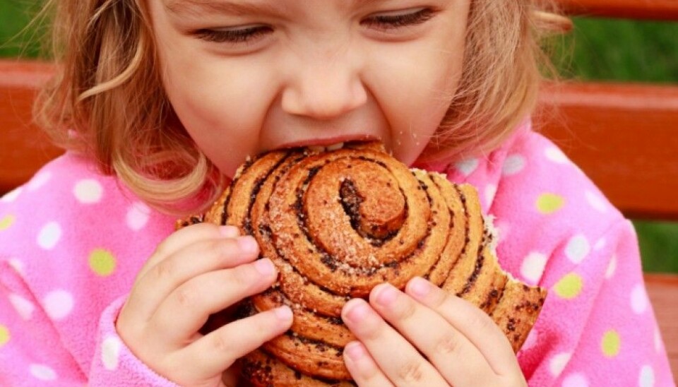A person with coeliac disease would not have been able to eat this cinnamon roll. Coeliac disease is an allergy to gluten. Gluten are proteins from wheat, rye, barley and all closely related species as kamut and spelt. (Photo: Colourbox)