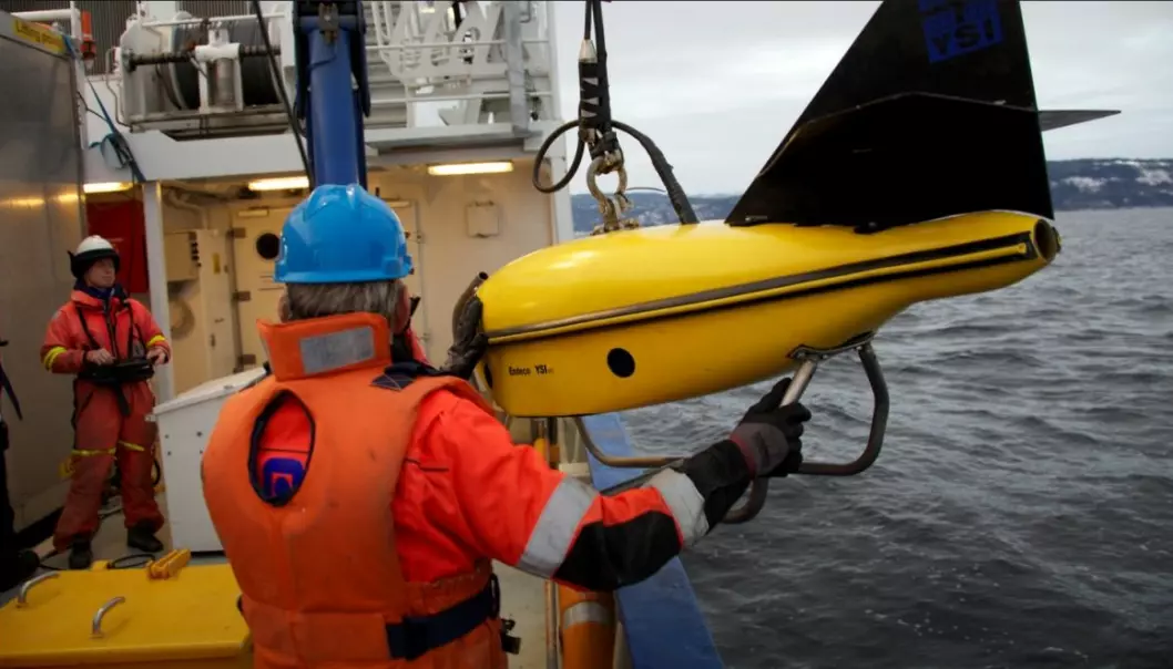 Divers are few and the tasks often hazardous, so the subsea industries are looking for the greater use of unmanned submarine vehicles. (Photo: Geir Johnsen, NTNU, Aurlab)