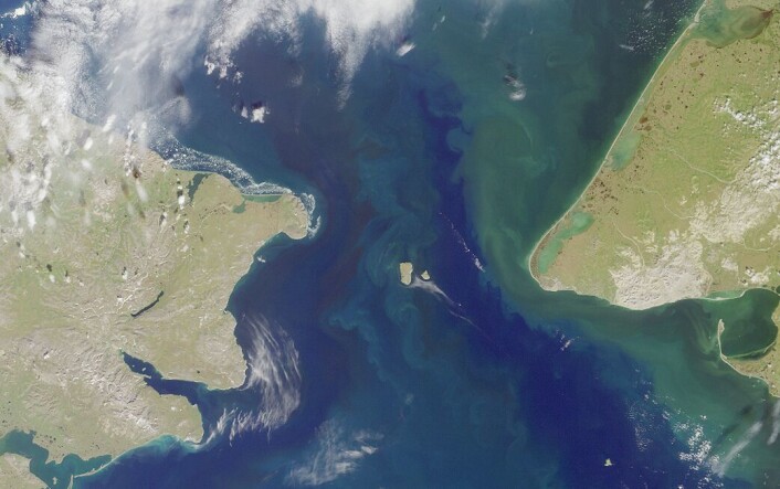 Beringstredet slik det ser ut i dag. Sibir ligger til venstre, mens Alaska er til høyre i bildet. Stredet er bare 90 kilometer bredt, og i løpet av istiden var stredet en landbro opptil flere ganger. (Foto: NASA) Beringstredet slik det ser ut i dag. Sibir ligger til venstre, mens Alaska er til høyre i bildet. Stredet er bare 90 kilometer bredt, og i løpet av istiden var stredet en landbro opptil flere ganger. (Foto: NASA)
