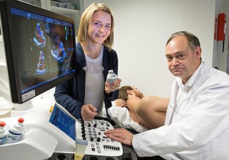 Digital models of individual patients’ hearts help optimise surgery