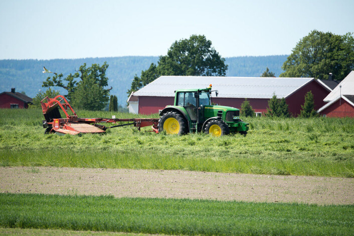 Hausting av gras og andre landbruksprodukt føresetter godt og tenlig ver. Uvissa er stor. Biletet er teken i Ås i Akershus. (Foto: Erling Fløistad) Hausting av gras og andre landbruksprodukt føresetter godt og tenlig ver. Uvissa er stor. Biletet er teken i Ås i Akershus. (Foto: Erling Fløistad)