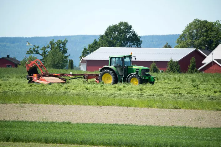 Hausting av gras og andre landbruksprodukt føresetter godt og tenlig ver. Uvissa er stor. Biletet er teken i Ås i Akershus.  (Foto: Erling Fløistad)