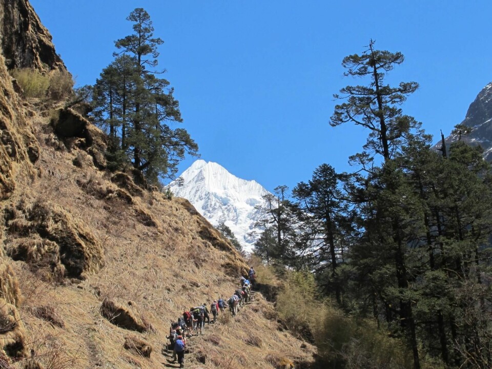 Mountain trekkers often use the hike into the Himalaya as a way to acclimatize to high altitudes. Here, researchers hike in the Rolwaling Valley in Nepal. (Photo: Harald Engan, Mid Sweden University)