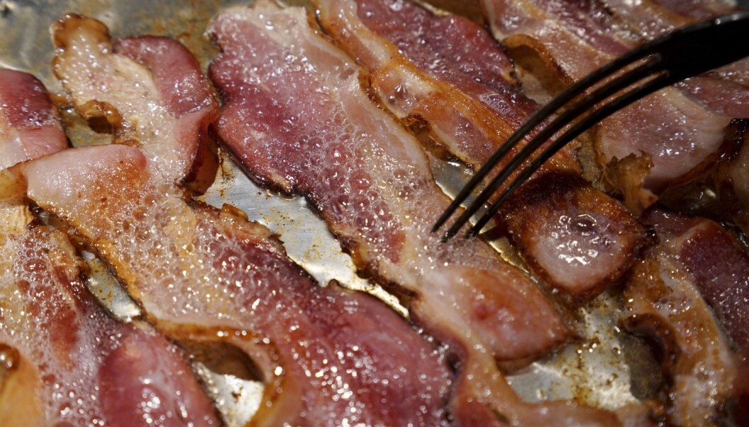 Bacon blir omtalt som like farlig som røyking. Men stemmer egentlig det? (Foto: Microstock) Bacon blir omtalt som like farlig som røyking. Men stemmer egentlig det? (Foto: Microstock)