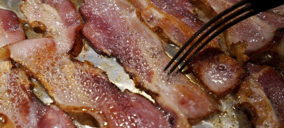 Bacon blir omtalt som like farlig som røyking. Men stemmer egentlig det? (Foto: Microstock)