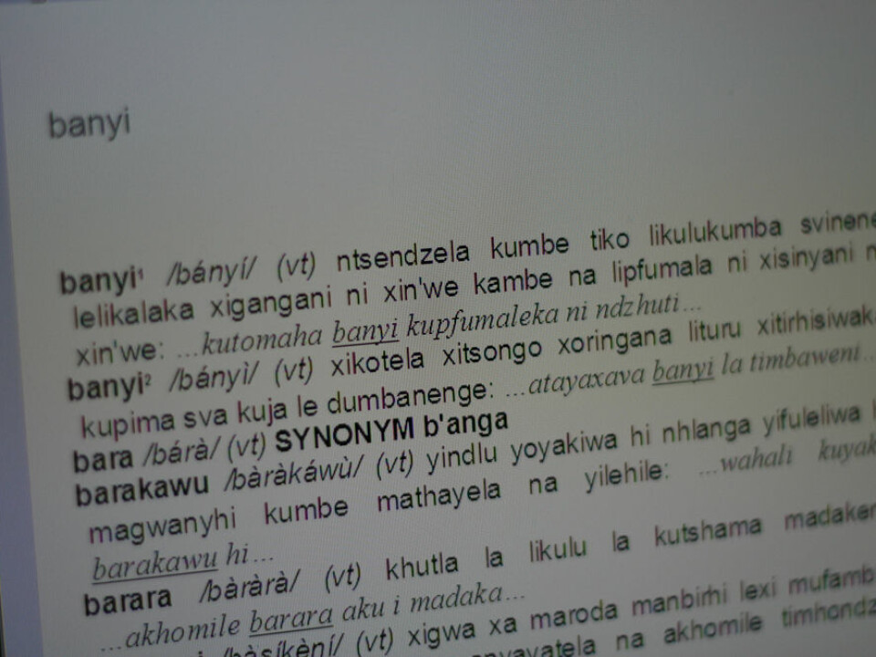 A page from one of the coming Changana dictionaries that will be one of the dictionaries from the cross-border language project.(Photo: Susan Johnsen)