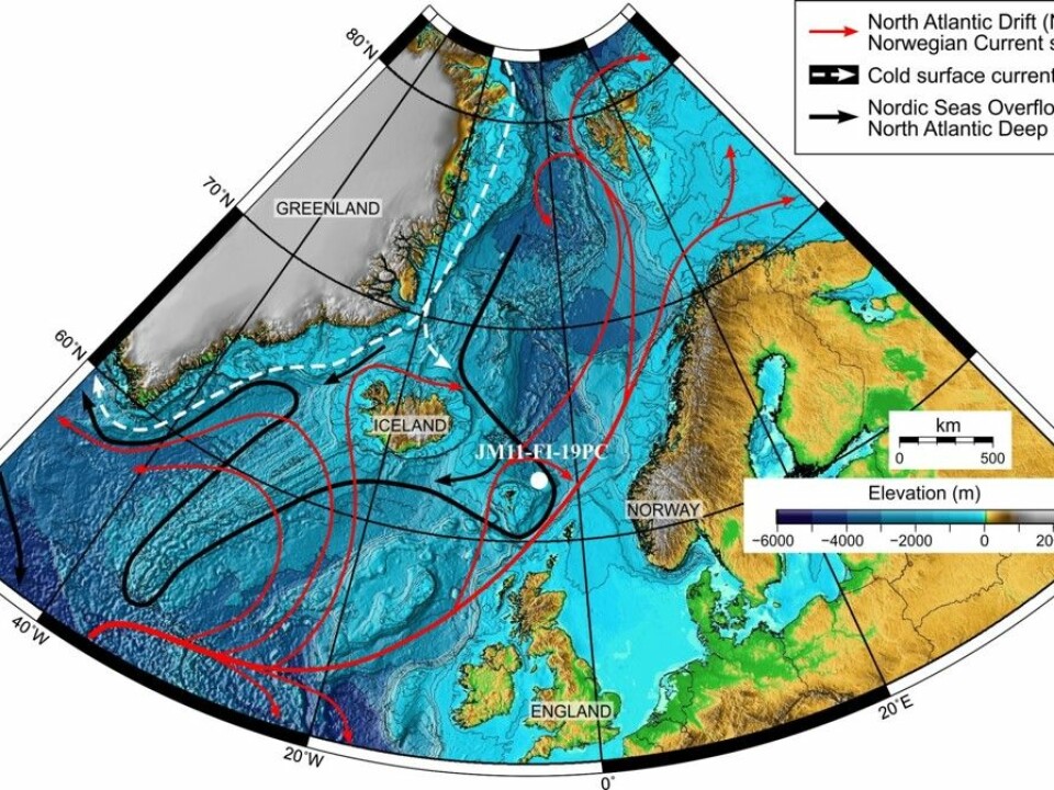 The map shows oceans currents in the Northern Atlantic Sea. Red arrows show the hot surface currents from south to north, including the Gulf stream. White dotted lines illustrates cold surface currents around the ice of Greenland and black arrows show cold deep water currents from the Arctic to the south. White dot next to the Faeroe islands marks the location of one the sediment samples Ezat has used in his work. (Map: Mohamed Ezat)