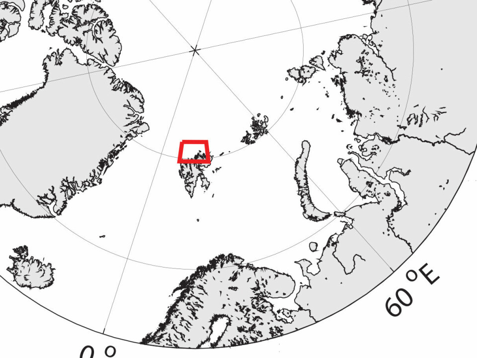 The red circle in the image above shows the area north of Svalbard, where Moen collected her research data. (Illustration: Mari-Ann Moen)
