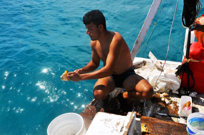 Beboerne på Belize har også klart å møte miljø- og klimaendringene med innovasjon og tilpasning. (Foto: Marianne Karlsson) Beboerne på Belize har også klart å møte miljø- og klimaendringene med innovasjon og tilpasning. (Foto: Marianne Karlsson)