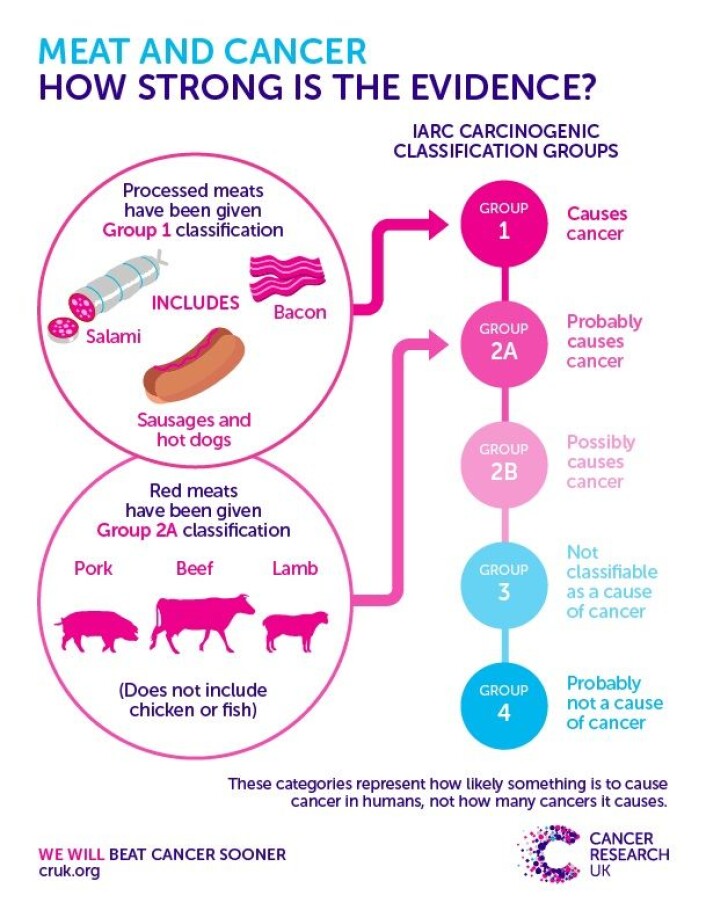 Her kan du se hvor sikre WHO nå er på at rødt kjøtt og bearbeidet kjøtt er kreftfarlig. (Foto: (Illustrasjon brukt med tillatelse fra Cancer Research UK.)) Her kan du se hvor sikre WHO nå er på at rødt kjøtt og bearbeidet kjøtt er kreftfarlig. (Foto: (Illustrasjon brukt med tillatelse fra Cancer Research UK.))