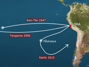 Kon-Tiki 1947 shows the route Thor Heyerdahl and his crew sailed in 1947, from Limas harbour town Callao to Raroia in Polynesia. Tangaroa 2006 is the route Torgeir Sæverud Higraff saild in Heyderdahls waters in 2006, a raft that was also built in balsa wood. Tangaroa arrived in Raroia 31 days faster than Kon-Tiki. Rahiti is the route scheduled for winter 2015-2016. The expedition, that will be lead by Higraff, will turn at Easter Island and sail back to South America. (Montage: forskning.no) Kon-Tiki 1947 shows the route Thor Heyerdahl and his crew sailed in 1947, from Limas harbour town Callao to Raroia in Polynesia. Tangaroa 2006 is the route Torgeir Sæverud Higraff saild in Heyderdahls waters in 2006, a raft that was also built in balsa wood. Tangaroa arrived in Raroia 31 days faster than Kon-Tiki. Rahiti is the route scheduled for winter 2015-2016. The expedition, that will be lead by Higraff, will turn at Easter Island and sail back to South America. (Montage: forskning.no)