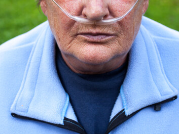 Chronic airway problems are among the most common illnesses. (Illustrative photo: Microstock) Chronic airway problems are among the most common illnesses. (Illustrative photo: Microstock)