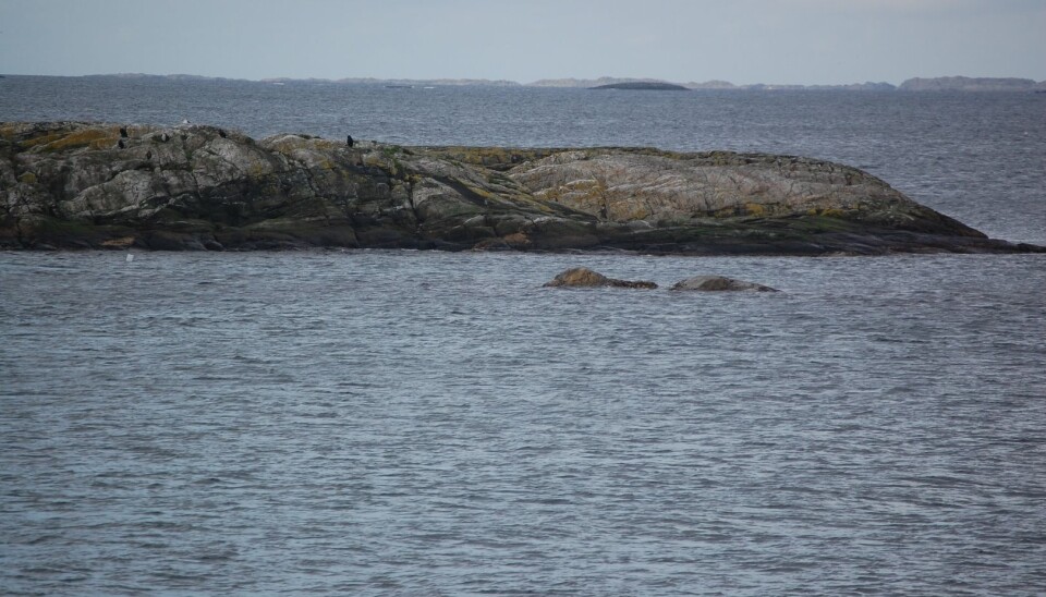 Skjeret med dei to toppane ber namnet Eistene, som tyder testikkel. – Om bedehusmiljøa står sterkt i dette området, har namna likevel eit sus av det erotiske over seg, sier språkforskar Inge Særheim. (Foto: Inge Særheim)