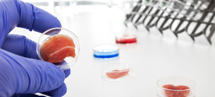 Laboratoriedyrket kjøtt – fremtidens mat eller «Franken-meat»? Laboratoriedyrket kjøtt – fremtidens mat eller «Franken-meat»?